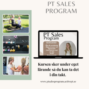 PT Sales Program